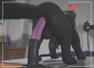 Every zoophile wants a horse-riding panther