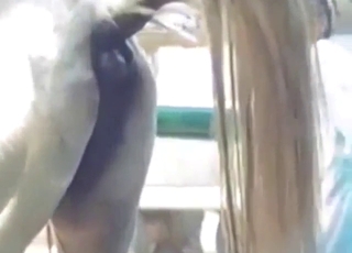 Fun bestiality sex with an enema for a horse