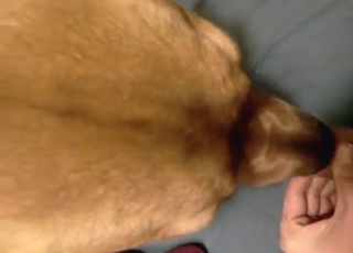 Messy POV creampie with a slutty animal filled