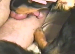 Dude with a hairy cock figuring it out with a dog