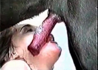 Beauty is getting an oral cumshot from a dog