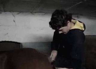 Stallion fucked her wide-opened wet cunt so hard