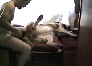 Horny fellow is having his way with a puppy