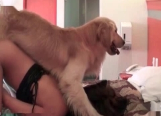 Incredible babe is having sex with her amazing retriever