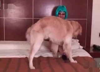 Doggy is getting a very good and deep blowjob