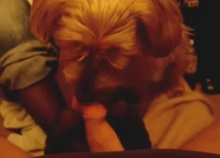 Blowjob in the POV mode for a hot doggy