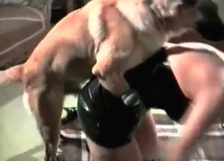 Mature zoophile licked by a bowwow