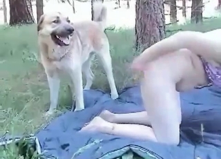 Nice mutt is showing a world class action