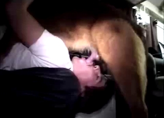 Absolutely amazing amateur bestiality sex session