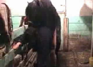 Zoophilic slut is fucking with small pony