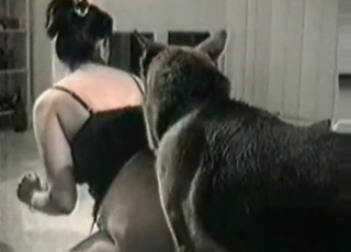 MILF and her submissive sweet doggy