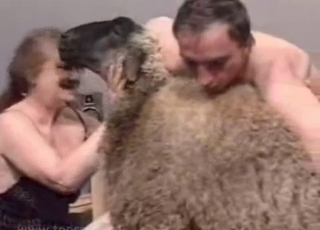 A horny sheep is about to be totally gang banged