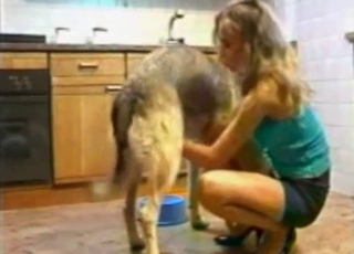 Doggy is getting a very nice handjob