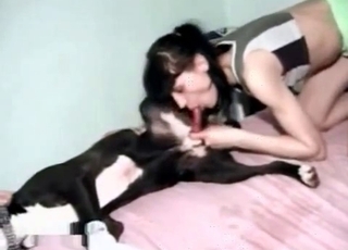 Brunette is sucking a good animal boner