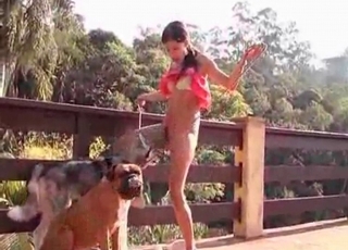 Juicy and jiggly pussy slurped by two dogs