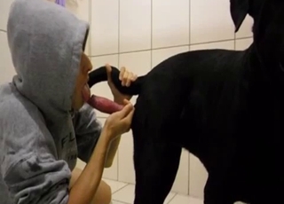 Doberman and a hot girl are both enjoying bestiality