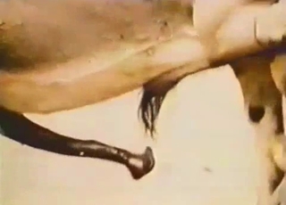 Two horny mules are fucking each other from behind
