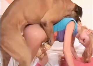 Tight moist pussy gets banged by hot puppy