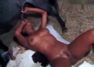 Black stallion receives an amazing oral pleasure