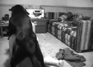 Sex in the missionary pose with a crazy beast