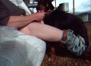 Man is masturbating while his puppy watches him