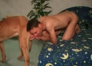 Sensual zoophilic sex action looks so impressive
