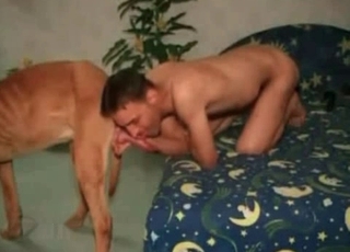 Sensual zoophilic sex action looks so impressive