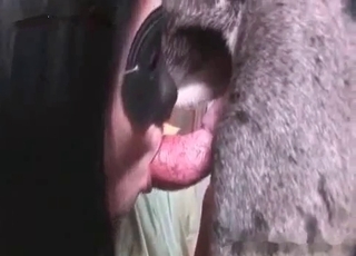 Woman with a mask on decided to give a BJ to a shepherd