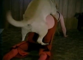 Ultra-kinky animal fuck-a-thon at the barn