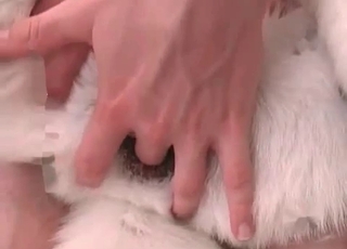 Handsome husky wants to totally stuff this tight pussy