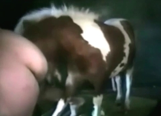 Stallion with spots on really likes to show off how kinky it is