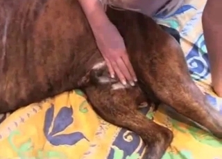 Blonde bitch really wants to fuck this cute mutts