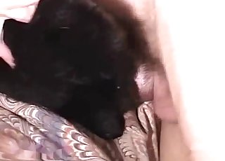 Missionary fucking for a really hot pup in this vid