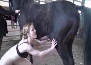 Worth to see this awesome bestiality action