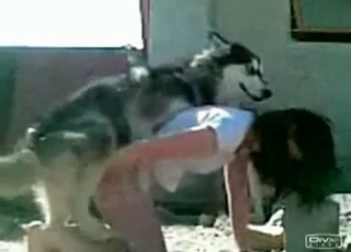 Stunning brunette is having bestial sex outdoors