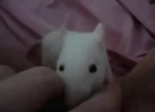 Bestiality enjoyment that is absolutely steamy