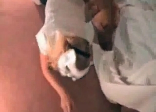 Doggo is banging this amazing cock hungry slut