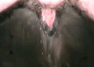 Incredibly filthy bestiality action is going on