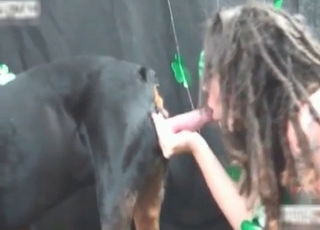Doggy got pleased by a sexy zoophile hooker