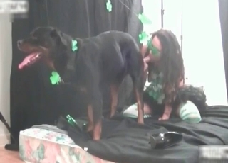 Doggy got pleased by a sexy zoophile hooker