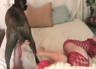 This amazing whore is dressed in red and gets fucked by a hound