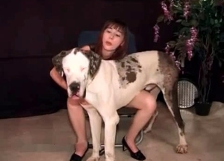 Slow but passionate video for all zoophiliacs out there