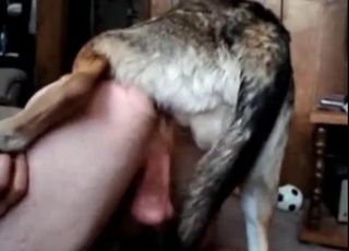 The sexiest and dirtiest bestiality sex action