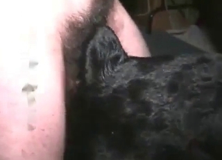 Sweet zoophile slut takes a huge animal boner