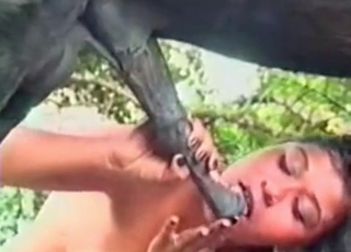 Horse with big cock and a submissive brunette