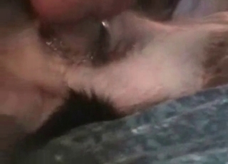 Doggy brutally nailed in the missionary pose