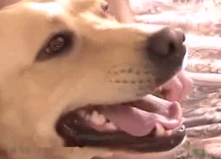 This cute dog wants to have all sorts of kinky pleasures