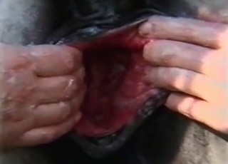 You definitely has to watch this bestiality XXX