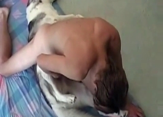 Animal is being pounded by a zoophile