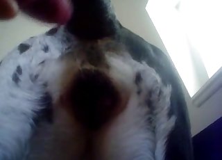 Nice to see how this big cock cums a huge load